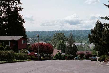 Western View on S.26th St.Across Kent Valley