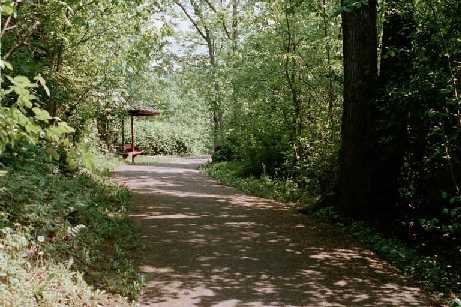 Picnic Table on Greenbelt Path