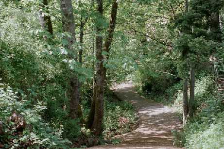 Southern End of Greembelt Path